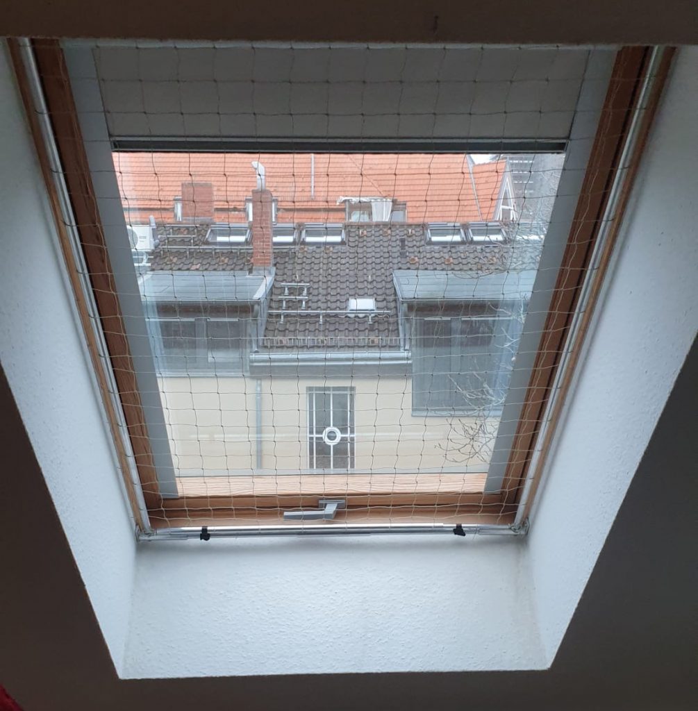 Katzennetz für ein Dachfenster