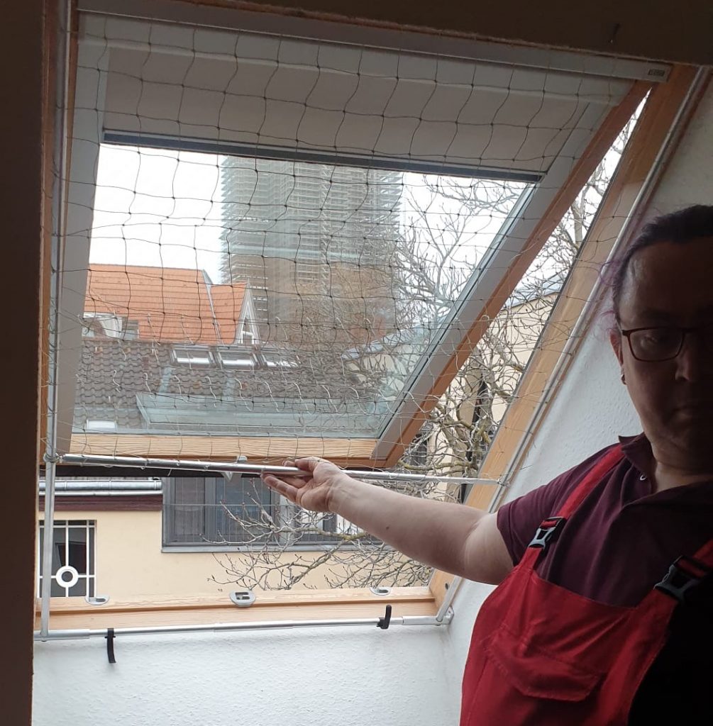 Katzennetz für ein Dachfenster in Funktion