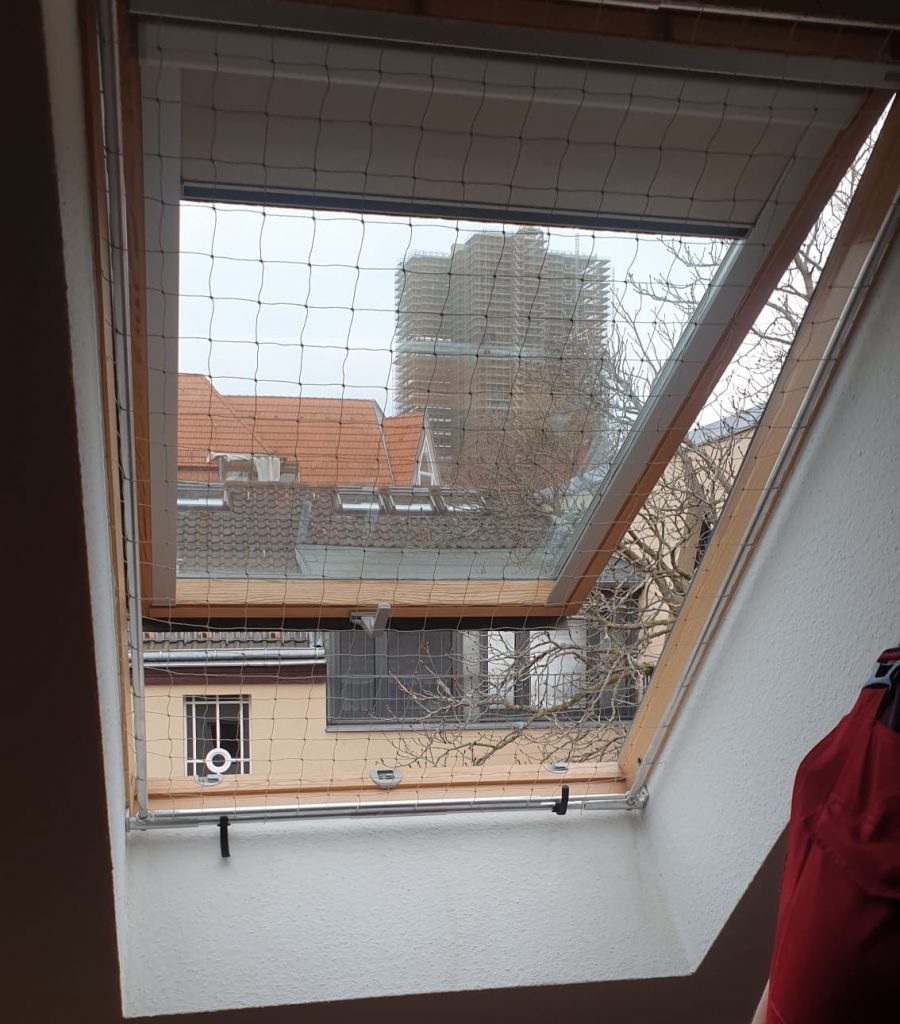 Katzennetz für ein Dachfenster offen